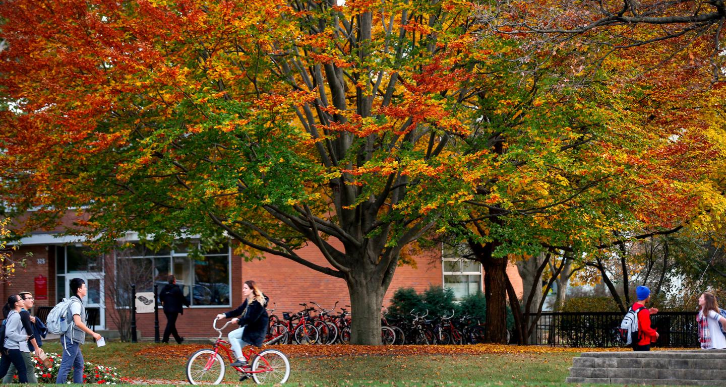 North Central College central campus in the fall