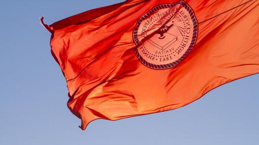 North Central College Flag